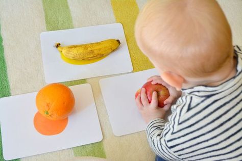 Montessori Trays 12 Months, Playroom Activities, Stimulation Activities, Montessori Trays, Matching Activities, Fruit Coloring Pages, Montessori Toddler Activities, Baby Play Activities, Toddler Classroom