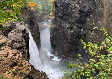 7 BEST Stops on the Drive from Courtenay to Campbell River - Road Trip Courtenay Bc, Travel Vancouver Island, Campbell River Bc, Travel Vancouver, River Float, Campbell River, Mount Washington, River Road, British Columbia Canada