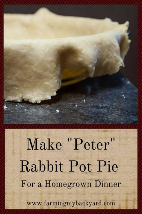 Wild Rabbit Recipes, Whole Rabbit Recipes, Rabbit Meat Recipes, Rabbit Recipes Easy, Rabbit Pot Pie Recipe, Easy Rabbit Recipe, Raising Meat Rabbits, How To Cook Rabbit, Braised Rabbit