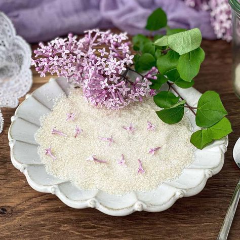 Lilac Sugar - Live to Sweet Lilac Sugar, Lilac Plant, Strawberry Sugar, Lavender Cake, Decorator Frosting, Lilac Blossom, Flavored Sugar, Flavor Enhancers, Lemon Lavender