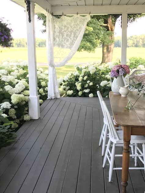 Landscaping Around Wrap Around Porch, Farmhouse Hydrangea Landscape, Front Of House Landscape Ideas Farmhouse Wrap Around Porches, Front Porch Hydrangeas, Wrap Around Porch Landscaping, Hydrangea Porch, Hydrangea Front Porch, Porch Hydrangeas, Front Porch Flower Bed