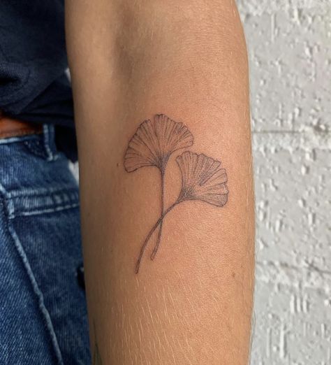 Ghinkos Tattoos, Fine Line Ginko Tattoo, Fan Leaf Tattoo, Fine Line Gingko Tattoo, Ginko Leaf Tattoos Meaning, Ginkgo Leaf Tattoo Meaning, Ginko Leaf Tattoo Minimalist, Gingko Leaf Tattoo Meaning, Ginkgo Tattoo Minimal