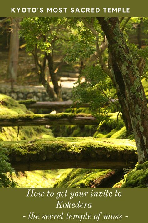 One of Kyoto's hidden gems is the Kokedera Temple. The temple and its ground are covered in moss and only accessible upon invitation. Save this pin to find out how to get in this temple, leave all tourists behind and truly immerge yourself in an authentic experience in Kyoto, Japan! #kokedera #hiddengem #kyoto #temple #japan #travel #tip Traveling Japan, Moss Temple, Japan Apartment, Kyoto Temple, Japan Samurai, Japan Trip, Kyoto Japan, Hidden Gem, The Temple