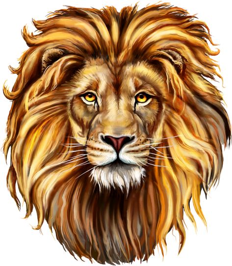 Shiva Background For Editing, Lion Face Drawing, Lion Canvas Painting, Jungle Lion, Cake Logo Design, Lion Painting, King Of The Jungle, Iphone Wallpaper Hd Nature, Lion Face