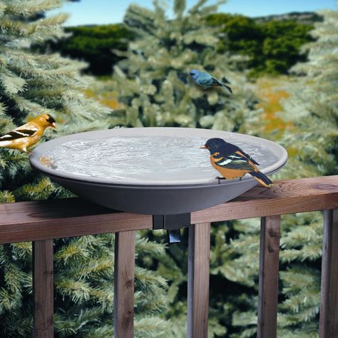 Your deck will be a welcoming place for bird friends with the Allied Precision 20 in. EZ Deck Tilt and Clean Non-Heated Bird Bath.. Heated Bird Bath, Diy Solar Fountain, Solar Fountain, Diy Pool, Diy Artwork, Solar Water, How To Attract Birds, Bird Supplies, Bird Feeder