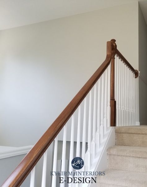 Paint Colour Review: SKIPPING ROCKS Sherwin Williams DESIGNER EDITION - Kylie M Interiors Top Grey Paint Colors, True Grey Paint Color, Benjamin Moore Paint Colors Gray, Home Paint Colour, Skipping Rocks, Neutral Gray Paint, Wood Railings For Stairs, Benjamin Moore Grey Owl, Kylie M Interiors