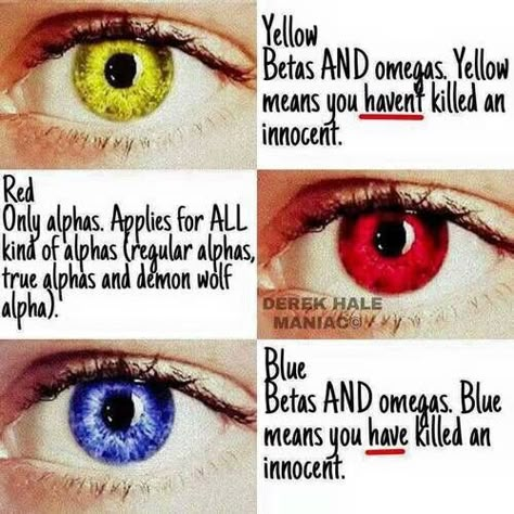 Eye colors of werewolves Werewolf Facts, Teen Wolf Eyes, Werewolf Mythology, Jackson Teen Wolf, Werewolf Eyes, Stiles Teen Wolf, Teen Wolf Werewolf, Demon Wolf, Werewolf Aesthetic