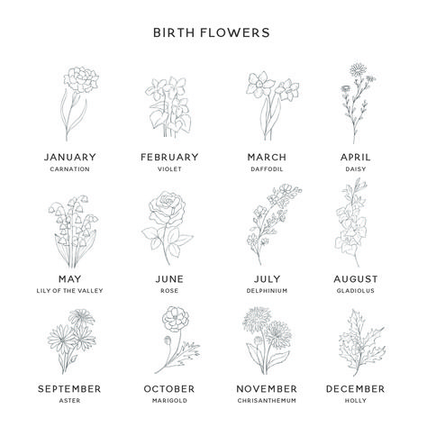 Birthflower November Drawing, Flowers For Months Of The Year, April Daisy Tattoo, Birth Flower April Tattoo, March And September Flower Tattoo, September And July Birth Flower Tattoo, Aster And Marigold Flower Tattoo, Birthflower October Tattoo, April Daisy Flower Tattoo