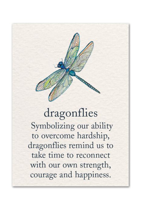 Dragonfly minicard | MiniCards | Cardthartic .com Dragonfly Symbolism, New Babies, Be Proud, Dragonflies, Recycled Paper, Made In The Usa, New Baby Products, Greeting Cards, Clip Art