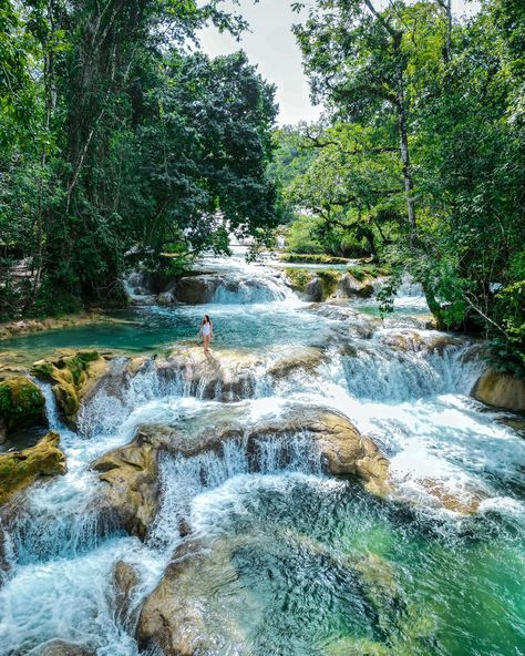 Road-trip moments through Chiapas Mexico 🤍🚗 If waterfalls are your jam, you have to add Chiapas to your Mexico bucket list. I wrote all about the best waterfalls and stops in my Chiapas guide you can find it in my bio 🫶 📍Cascada el aguacero 📍Sumidero Canyon 📍Cascada El Chiflon 📍Palenque 📍Cascadas agua azul #chiapas #mexico #adventurenthusiasts #earthfocus Mexico Bucket List, Mexico Trip, Board Pictures, Vision Board Pictures, Mexico Wedding, Mexico Travel, Oh The Places Youll Go, Find It, Adventure Travel