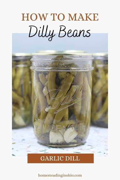 Dill Beans Recipe, Dilly Beans Recipe Canning, Canned Dilly Beans Recipe, Pickled Beans Recipe Easy, Canned Dilly Beans, Dilly Beans Recipe, Dill Green Beans, Dilly Beans Recipe Refrigerators, How To Can Green Beans Water Bath