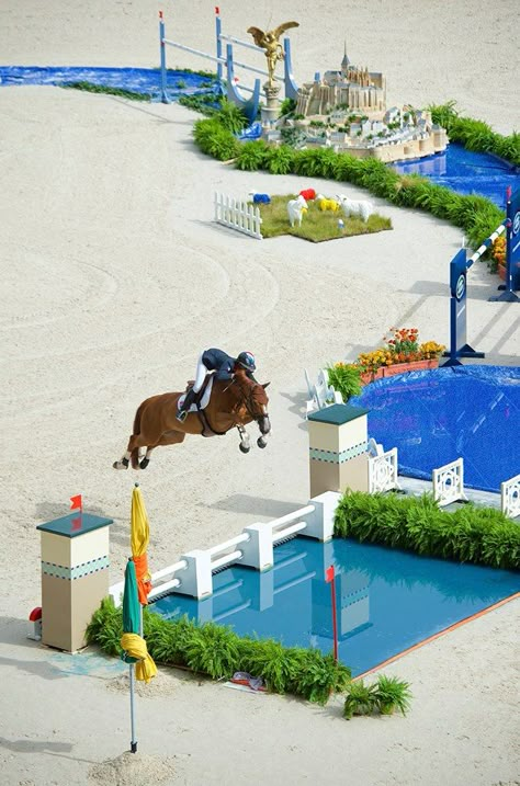 Water jumps Horses Jumping, Equestrian Jumping, Jumping Horses, Horse Jumps, Show Jumping Horses, Eventing Horses, Equestrian Fashion, Hunter Jumper, Horse And Rider