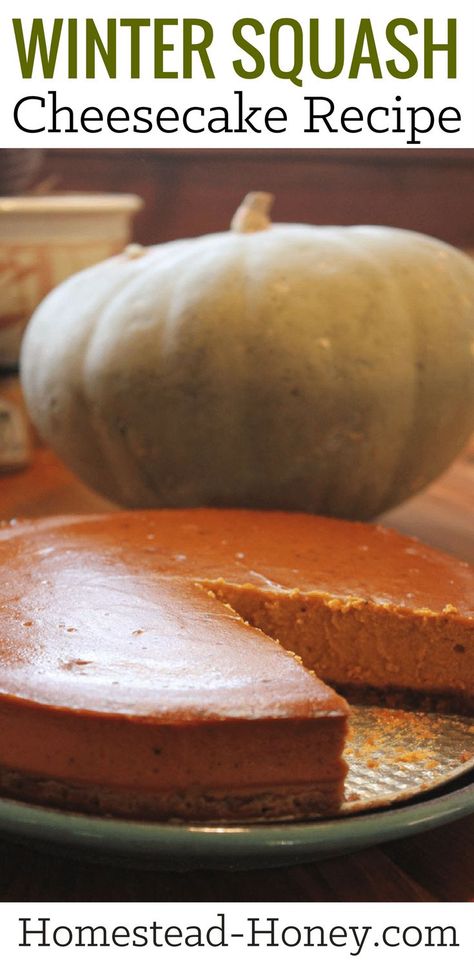 Try this fall and Thanksgiving recipe for  delicious cheesecake using winter squash varieties like red kuri, pumpkin, and kabocha. #thanksgiving #dessert #fallrecipes #fallgarden Squash Cheesecake, Kefir Cheese, Autumn Dessert, Winter Squash Recipes, Fall Goodies, Pie Thanksgiving, Thanksgiving Pumpkin Pie, Pumpkin Pie Cheesecake, Scratch Recipes