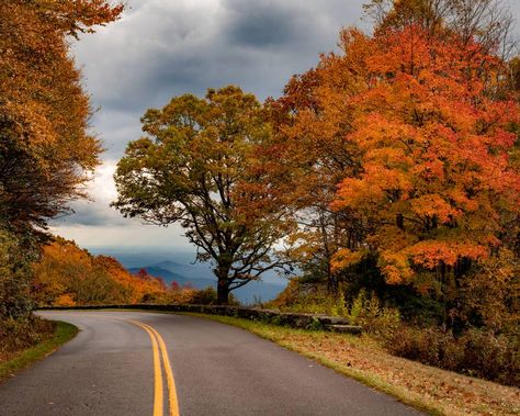 Fall leaves will be changing color around North Carolina through early November. Here’s the best scenic drives for fall foliage in the state. North Carolina Fall, Leaves Changing Color, Grandfather Mountain, Leaf Peeping, Shenandoah National Park, Blue Ridge Parkway, Smoky Mountain National Park, Scenic Drive, Great Smoky Mountains