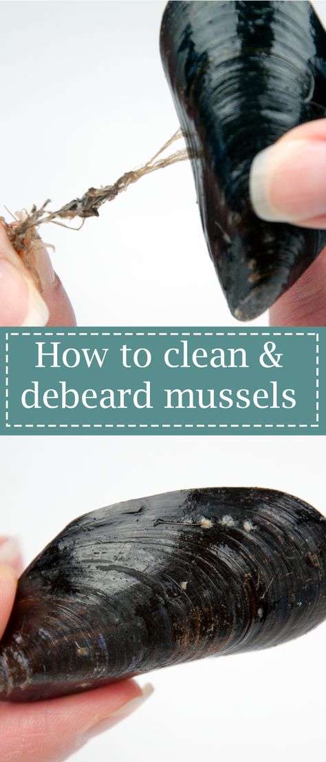 Ever wondered how to clean and debeard a mussel? Follow these 3 simple steps to prepare your mussel ready for cooking or storing. Seafood techniques made easy. | https:theyumyumclub.com  #mussels #seafood #food #foodporn #delicious #clams #foodie #dinner #instafood #shrimp #fish #lunch #yum #lobster #foodstagram #foodblogger #oysters #chef #prawns #french #moulesmariniere #shellfish How To Cook Mussels Easy, Muscles Seafood, How To Clean Mussels, Fish Lunch, How To Clean Clams, Oyster Stew, Basic Cooking, Mussels Recipe, Clam Recipes