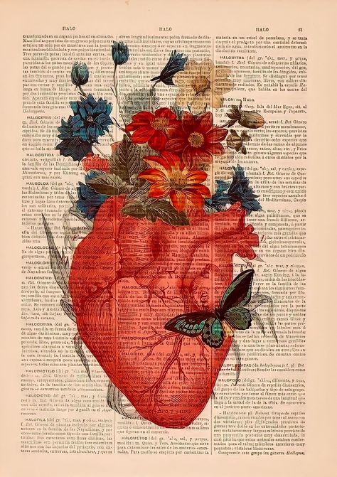 Heart Illustration Art Love, Heart Anatomy Art, Wallpaper Corazones, Anatomy Heart, Anatomical Heart Art, Heart With Flowers, Heart Anatomy, Human Anatomy Art, Heart Drawing