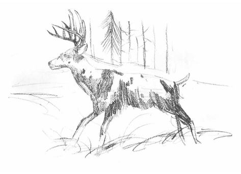 Deer Sketch, Red Dead Redemption Art, Flowers Journal, Red Dead Redemption Ii, Nature Sketch, Sketch Journal, Arthur Morgan, Drawing Journal, Eclectic Art