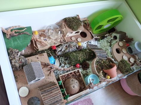 Syrian Hamster Enclosure, Ikea Linnmon Hamster Cage, Syrian Hamster Cages, Bin Cage, Hamster Bin Cage, Ikea Linnmon, Pet Enclosures, Hamster Habitat, Hamster Care