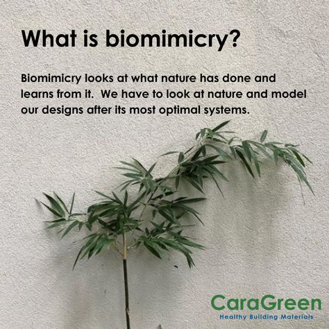 Biomimicry Interior Design Concept, Biomimicry Architecture Concept, Biophilia Interior Design, Biophilia Design, Biomimetic Architecture, Sustainable Design Interior, Biomorphic Architecture, Biofilic Design, Biomimicry Design