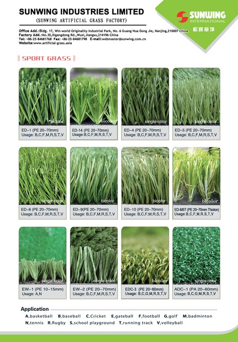 Sunwing Sport Grass catalog, high quality grass for sport field! Different Types Of Grass, Grass Seed Types, Types Of Grass, Grass Seed, Artificial Grass, Exotic Flowers, Grasses, Different Types, Landscaping