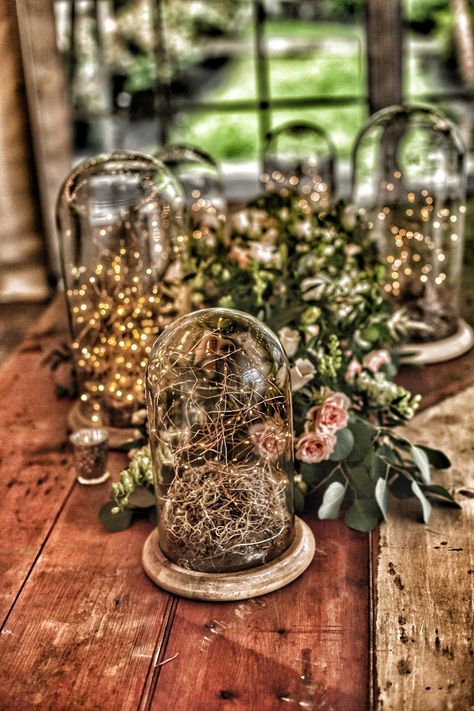 Glass domes filled with Spanish moss and fairy lights #bohoweddings Spanish Moss Wedding Centerpiece, Fairy Wedding Centerpieces, Glass Dome Centerpiece, Moss Centerpiece Wedding, Glass Jar Centerpieces, Spanish Moss Wedding, Blair Wedding, Jar Centerpiece Wedding, Blue Red Wedding