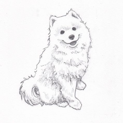 Samoyed Drawing, Dog Sketch Easy, Dog Sketches, Clay Moulds, Stick Drawings, Inktober 2023, Pencil Drawings Of Animals, Samoyed Dogs, Dog Sketch