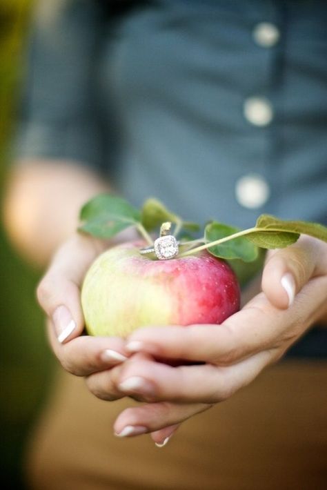 Apple Orchard Wedding, Disney Princess Wedding, Apple Wedding, Snow Wedding, Orchard Wedding, Country Engagement, Winter Engagement Photos, Engagement Poses, Engagement Photo Poses