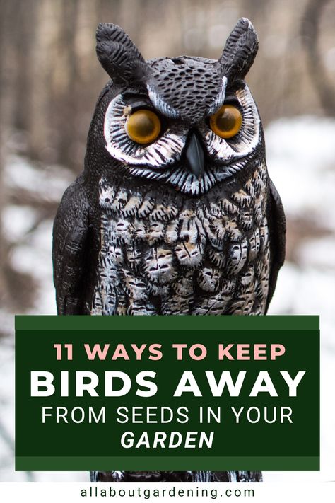 Are you looking for some ways to keep birds out of your garden? In this article we will share our favorite humane bird-control methods that will keep birds under control so your plants can grow! Come take a look! Bird Deterrent Ideas For Garden, Keeping Birds Out Of Garden, Keep Birds Out Of Garden, Scarecrow Ideas, Outdoor Porch Lights, Bird Deterrents, Garden Spinners, Bird Control, Garden Plots