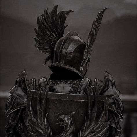 Dark Warrior Aesthetic Men, Knight Pfp Medieval, Dark Fantasy Knight Art, Medieval Knight Aesthetic, Aesthetic Knight, Dark Knight Aesthetic, Paladin Aesthetic, Hero Of Ferelden, Unique Pfp