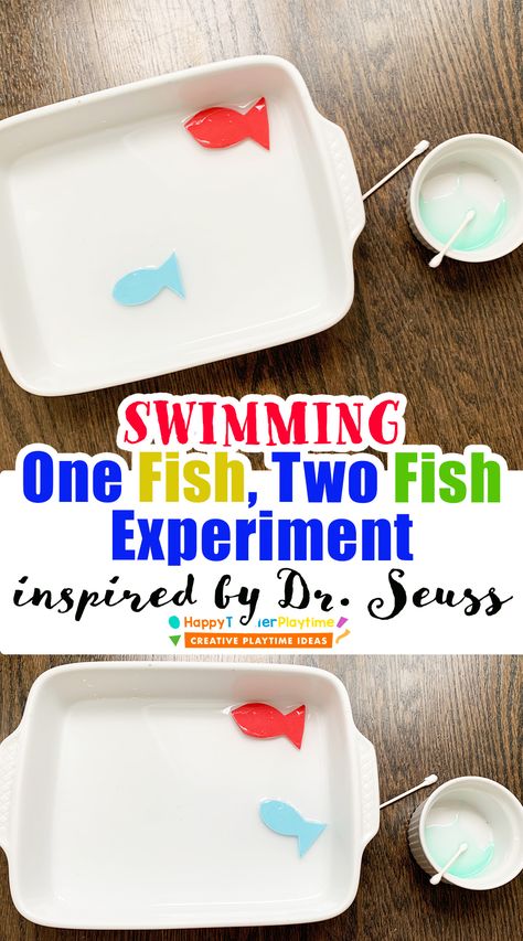 The Fish Who Could Wish Activities, Fish Theme For Preschool, Learning About Fish Preschool, Pets Preschool Theme Science, Swimming Fish Science Experiment, Sensory Fish Activities, Prek Fish Craft, Slippery Fish Activities, Rainbow Fish Science Activities