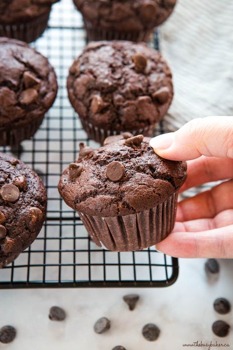 These Best Ever Double Chocolate Muffins are moist and chocolatey, and packed with chocolate chips! Easy to make in only one bowl! Recipe from thebusbaker.ca! #chocolate #doublechocolate #muffins #baking #afterschool #cake #recipe Chocolate Chip Muffins Easy, Double Chocolate Chip Muffins, Chocolate Muffin Recipe, Chocolate Muffin, Double Chocolate Muffins, Sweet Breakfast Treats, Chocolate Banana Muffins, Low Carb Muffins, Sweet Muffin