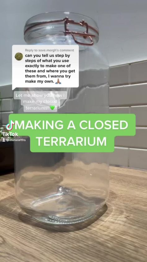 Closed Terrarium Ideas, Glass Jar Terrarium, Terrarium Closed, Best Terrarium Plants, Mushroom Terrarium, Mason Jar Terrarium, Closed Terrarium, Mason Jar Planter, Plants In Jars