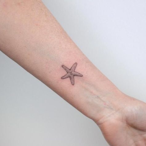 Star Fish Tattoos, Small Starfish Tattoo, Star Tats, Sand Dollar Tattoo, Sister Tats, Small Beach Tattoos, Beachy Tattoos, Marine Tattoo, Starfish Tattoo