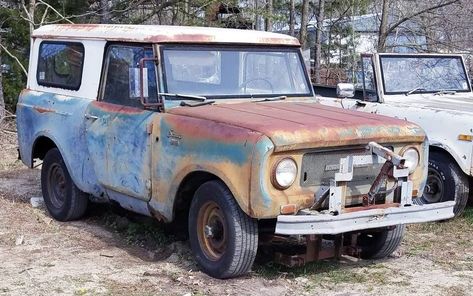 This 1966 International Scout 800 is sure to go up in value with the re-introduction of the Scout in 2026. Do you agree? Check it out! #International, #Scout International Scout 800, Scout 800, Navistar International, New Bronco, International Scout, The Scout, International Harvester, Barn Finds, Car And Driver