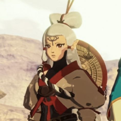 Impa Legend Of Zelda, Impa Botw, Impa Age Of Calamity, Botw Icons, Zelda Impa, Hyrule Warriors Age Of Calamity, Age Of Calamity, Legend Of Zelda Characters, Botw Zelda