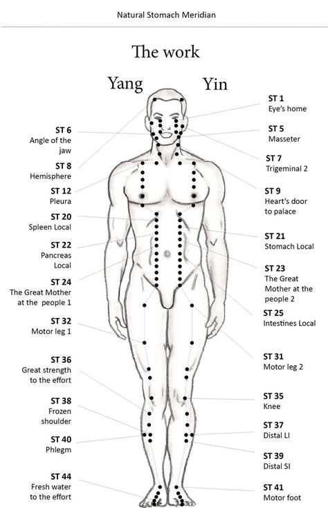 Stomach N. Meridian - ECAN International school of acupuncture - Learn Acupuncture in India. Next Course November 2016 Chinese Acupuncture Points, Stomach Meridian Points, Self Acupuncture, Acupuncture School, Stomach Meridian, Acupressure Points Chart, Acupressure Chart, Traditional Chinese Medicine Acupuncture, Acupuncture Points Chart