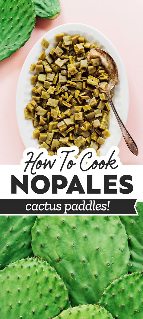 This step-by-step guide shows you how to cook nopales cactus paddles, with photos of each step along the way! Cactus Food Recipes, Nopales Recipes Mexican Pork, Cactus Soup Recipes, How To Cook Prickly Pear Cactus, Cactus Paddle Recipe, Cactus Recipes Nopales, Cactus Leaf Recipe, Cactus Tacos Recipes, Mexican Cactus Recipe