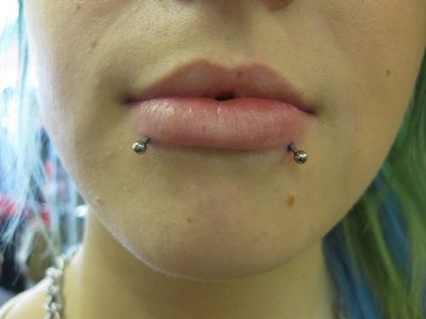 Snake Bites #snake #bites #snakebites #labret #lip #oral #oralpiercing #piercing Snake Bites Studs, Dream Piercings, Snake Bite Piercing, Snakebites, Snake Bites, Piercings, Nose Ring, Portfolio, Quick Saves