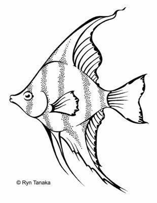 Drawing Ideas Animals, Easy Fish Drawing, Easy Pencil Drawing, Fish Sketch, Ocean Drawing, Koi Fish Drawing, Sea Drawing, Drawn Fish, Pencil Drawings Easy