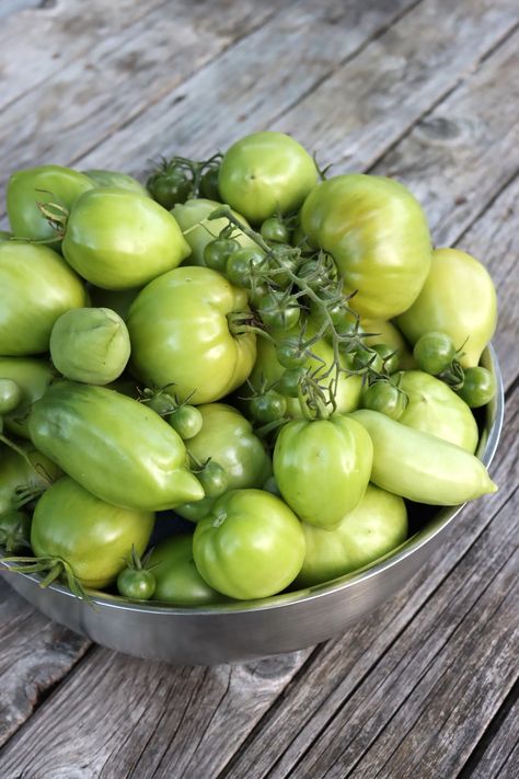 20+ Green Tomato Canning Recipes Tomato Canning Recipes, Green Tomato Jam Recipe, Canning Green Tomatoes, Tomato Canning, Green Tomato Salsa, Sun Oven, Canning Tomatoes Recipes, Pickled Green Tomatoes, Green Tomato Recipes