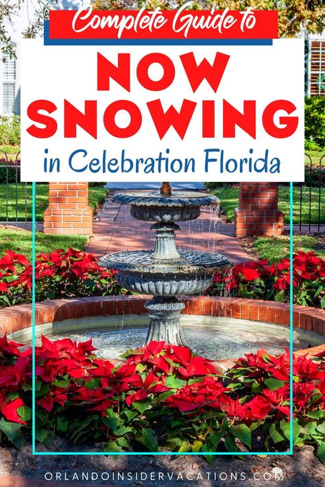 Does it snow in Florida? Yes! Now Snowing in Celebration Florida is a nightly event that all ages love. It's not your usual freezing cold snow, but tropical weather never got in the way of snow fun in Florida! Snoap is just as much fun! There's an ice rink, carriage rides, entertainment and snow every night in Celebration. Celebration Orlando Florida, Celebration Orlando, Orlando Christmas, Celebration Florida, Holiday Lights Display, Tampa Bay Florida, Orlando Theme Parks, Florida Christmas, Tropical Weather