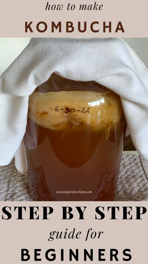 Kombucha Starter Recipe, Kombucha Diy, Kombucha Recipe For Beginners, Homemade Kombucha Recipe, How To Make Kombucha, How To Make Kombucha Step By Step, Kombucha Recipes, Making Kombucha, Homemade Kumbacha