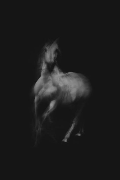 Sprit in the dark on Artfully Walls Dark Horse Aesthetic, Aesthetic Horses, Ghost Horse, Photography Horse, Equine Artwork, Horse Photographer, Artfully Walls, Long Exposure Photography, Artist Wall