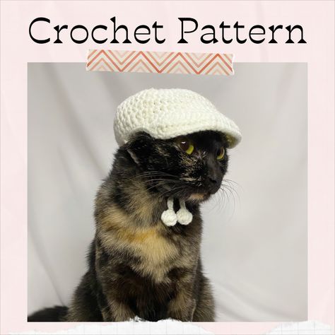 This is a DIGITAL PDF PATTERN of Baseball cap for cats, small dogs, and other small pet!

PLEASE NOTE THAT THIS IS A CROCHET PATTERN, NOT THE FINISHED PRODUCT.

Pattern is written in English US terms.
This pattern contains pictures to help with all the details of Cap for cats!
This pattern is for those who already have basic crochet skills.

You can crochet this Baseball cap for your pet for a party or just for a photo.
A great gift for those who have a cute fur baby. Crochet Baseball Hat, Hat For Cat, Crochet Baseball, Basic Crochet, Crochet Cap, Cat Hat, Small Pet, Crochet Cat, Crochet Basics