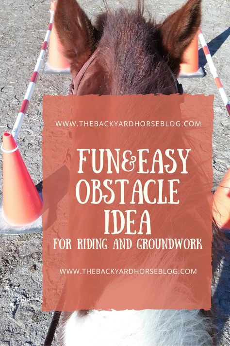 Obstacles For Horses Ideas, Obstacle Course For Horses, Horse Groundwork Exercises, Horse Obstacle Course Ideas Diy, Diy Horse Obstacles, Working Equitation Obstacles, Horse Obstacle Course Ideas, Horse Groundwork, Horse Training Ground Work