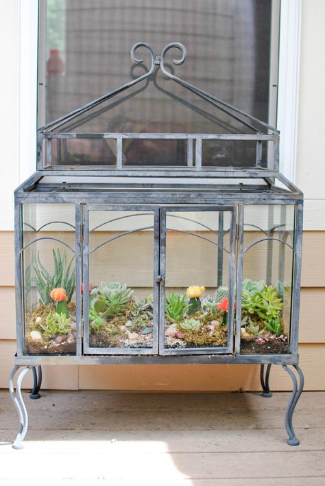 Miniature Glass House, Diy Terrarium Table, Garden Signs Diy, Geometric Door, Terrarium Table, Mason Jar Terrarium, Build A Terrarium, Diy Terrarium Kit, Fish Tank Terrarium