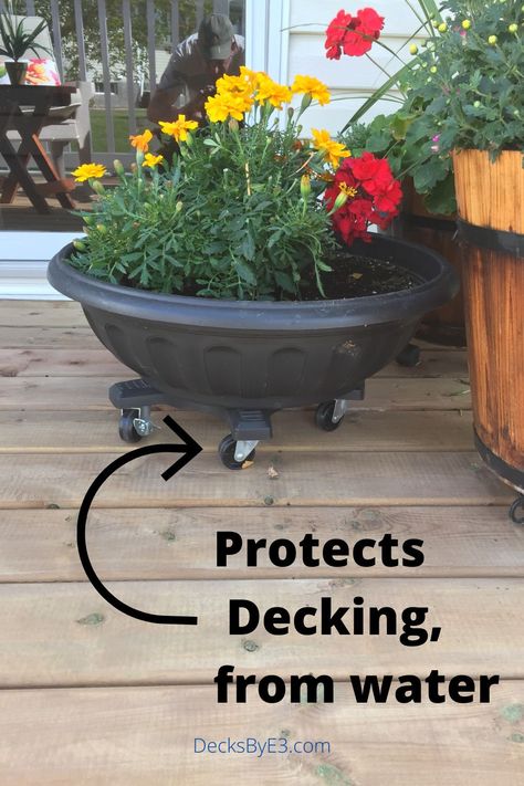 Flower add life and colour to any deck but they also can damage the decking. But there are some simple steps that can be taken to protect the decking while enjoying flowers or any plants on your deck. Plants Under Deck, Planter Edge Deck, Planters Built Into Deck, Trex Deck Flower Boxes, How To Waterproof Under Deck, Trex Deck, Large Flower Pots, Lower Deck, Winter Plants