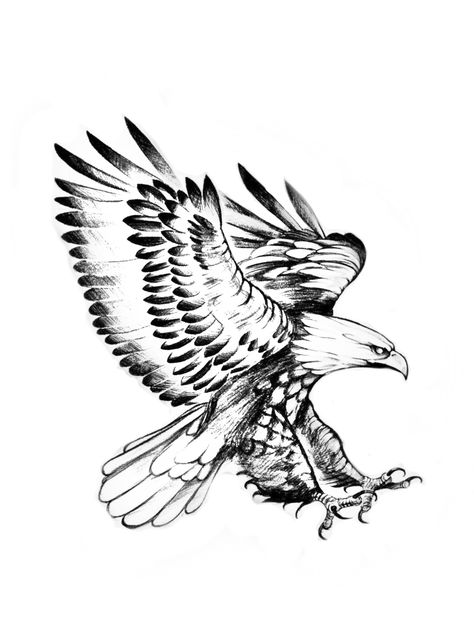 Eagle Tattoo Drawing, Eagle Tattoo, Tattoo Inspo, Tattoo Drawings, Small Tattoos, Tatting, Tattoo Ideas, Tattoos, Drawings