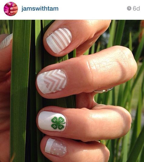 4-h Tattoos, 4 H Nails, 4h Nails Designs, County Fair Nails Ideas, Fair Nail Ideas, 4h Nails, County Fair Nails, Farm Nails Designs, Farm Nails