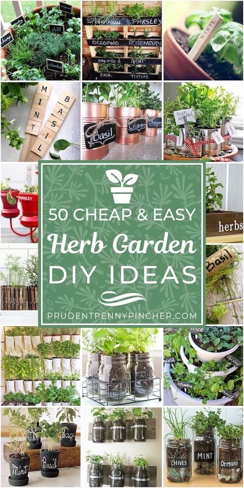 Buying fresh herbs at the grocery store can get expensive. You get a small amount for $2-$4 and the quality usually isn't that great. You can save a lot of money by having your own DIY herb garden. Herbs are easy Easy Herb Garden, Diy Herb Garden Ideas, Repurposed Planter, Herb Garden Ideas, Herb Diy, Herb Garden Pots, Funny Vine, Outdoor Herb Garden, Garden Diy Ideas